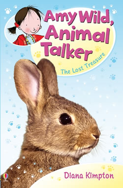 Amy Wild - The Secret Treasure